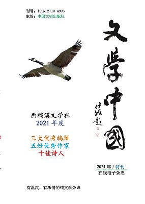 《文学中国》杂志2021年十佳五好三大电子杂志特辑