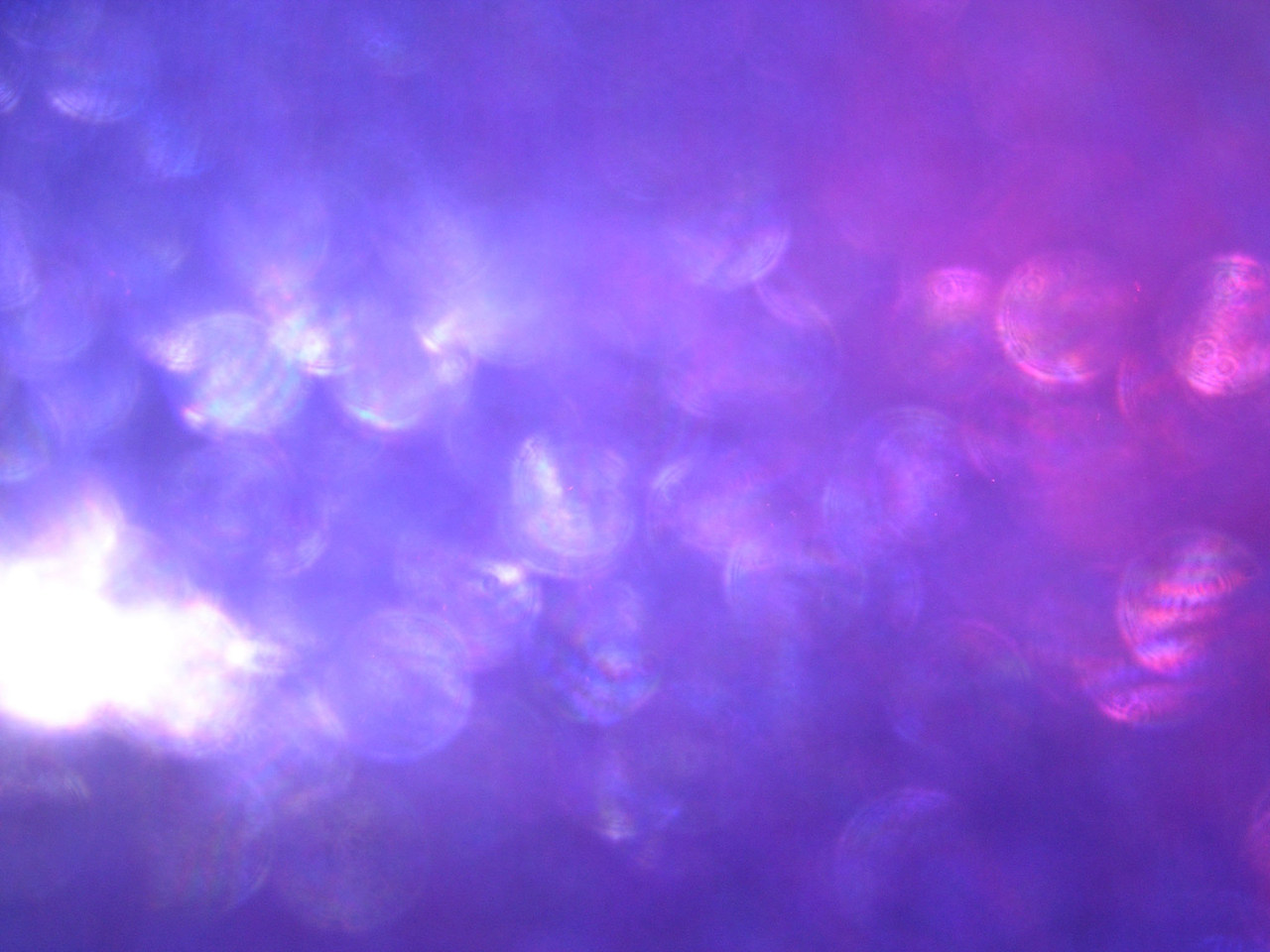 霓虹