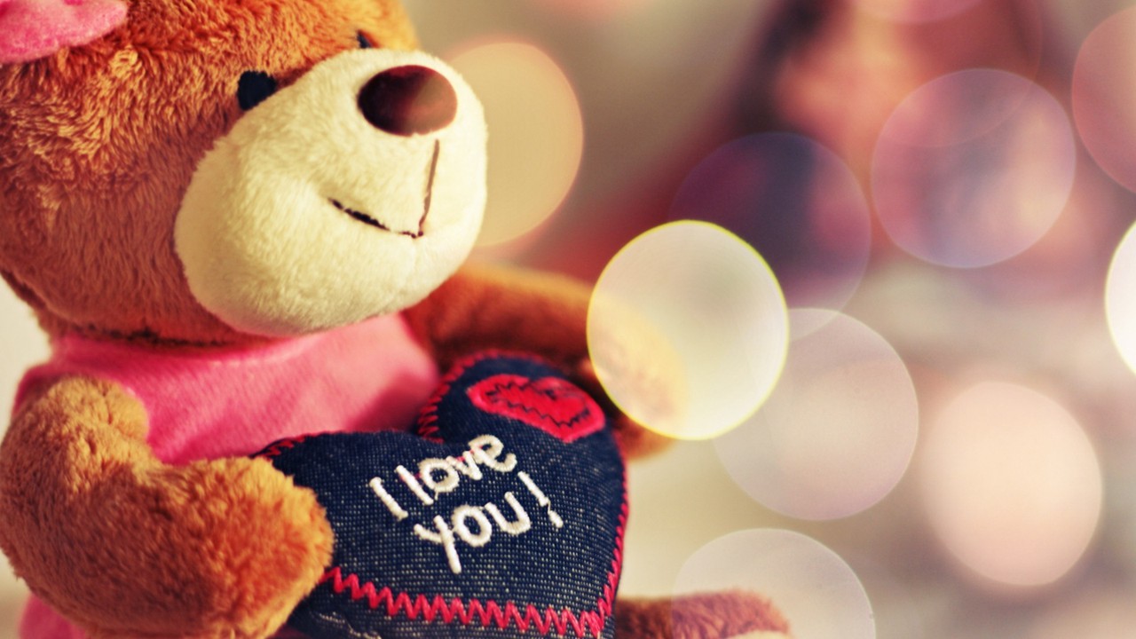 love 爱