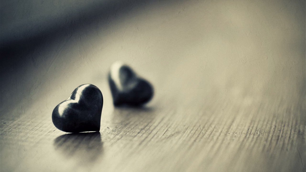 love 爱