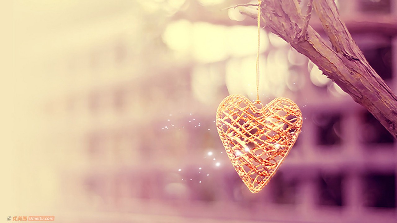 love 爱