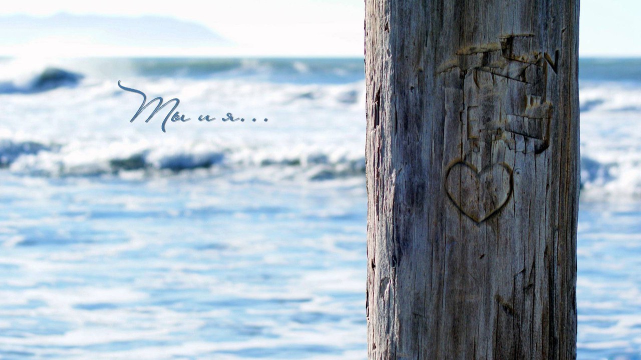 love 爱