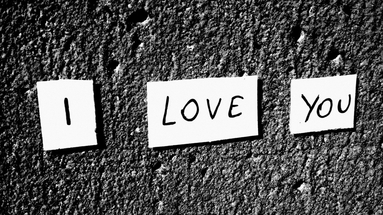 love 爱