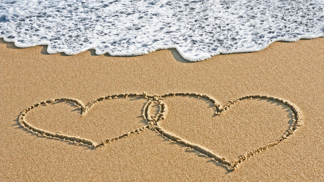 love 爱
