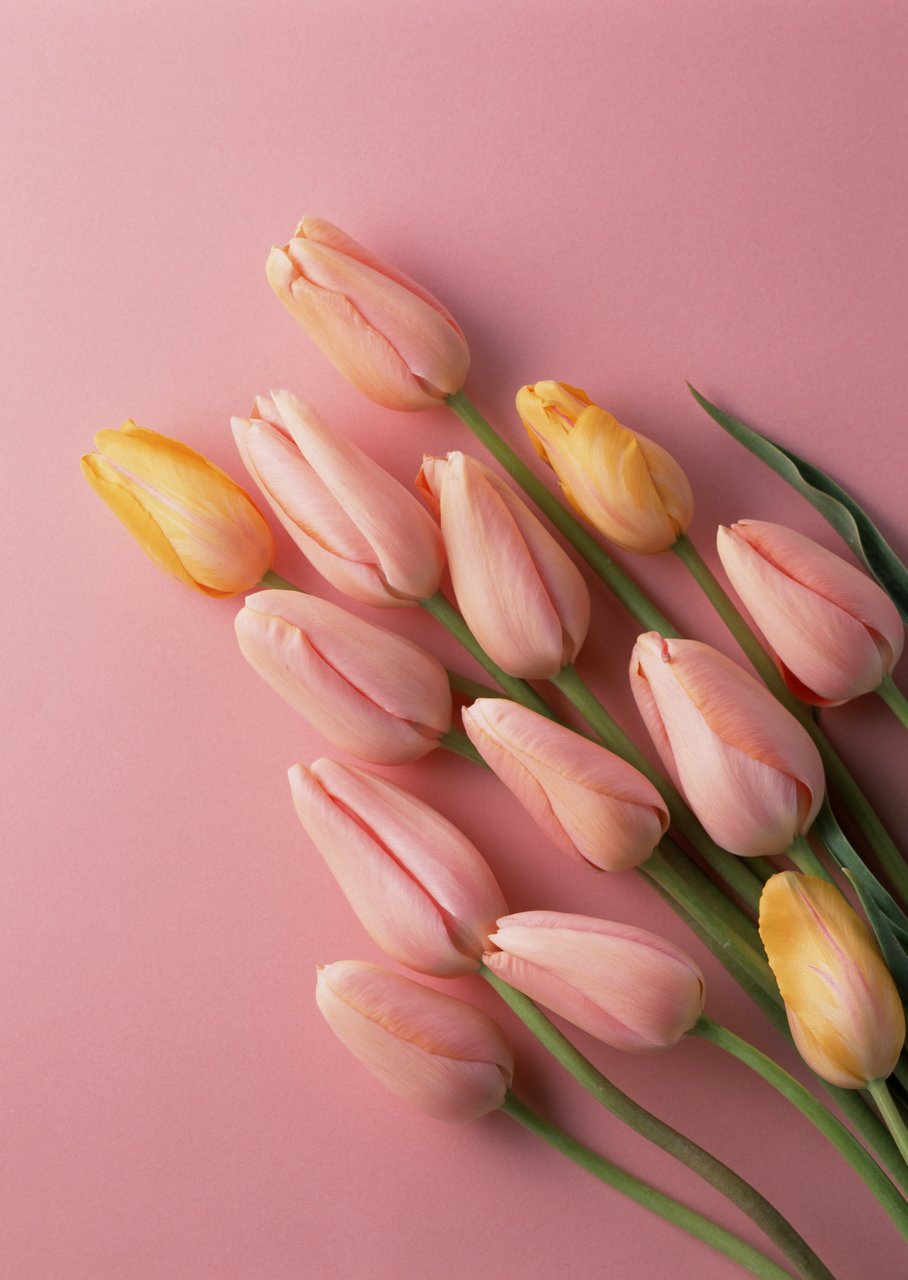 鲜花