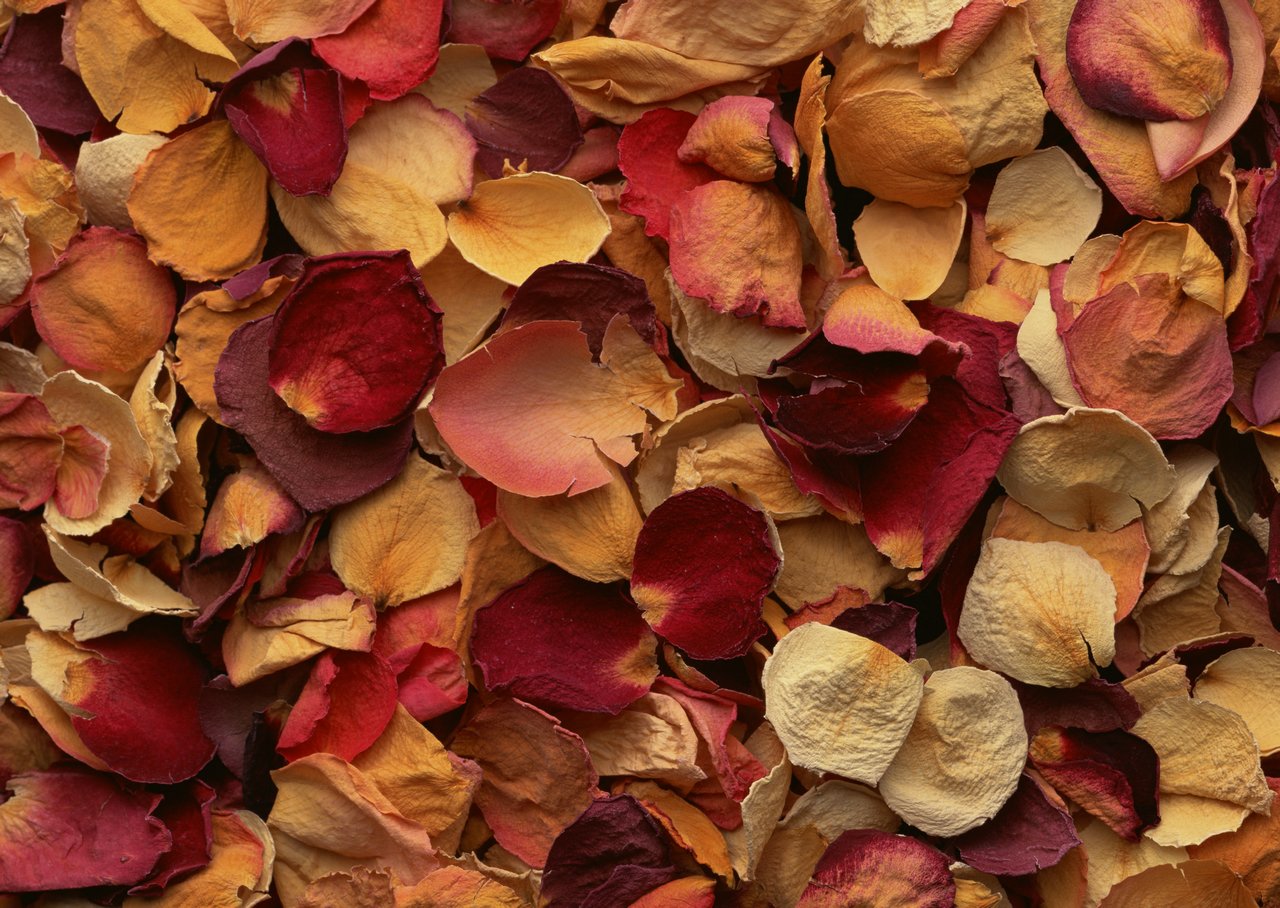 鲜花