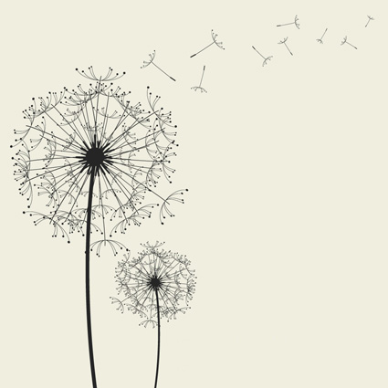 花纹 图案