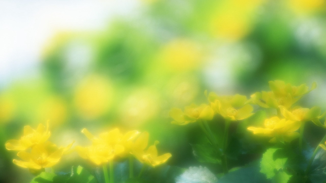 小清新