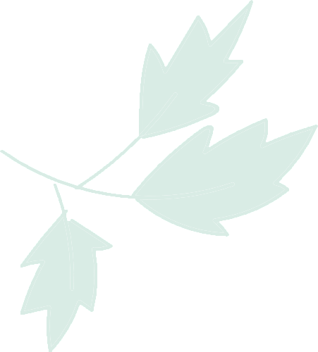 花 花边