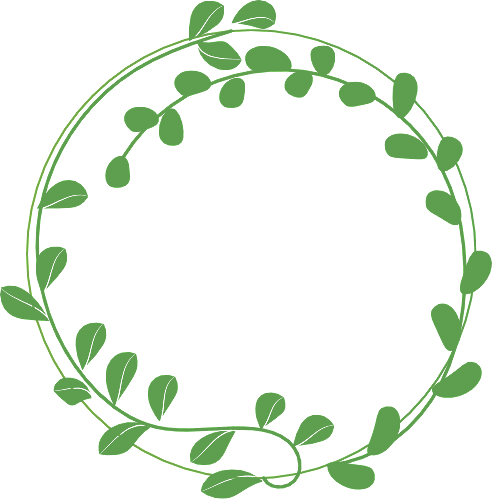 圆形 边框 植物 叶子