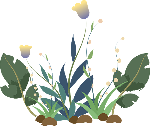 植物 花朵 卡通