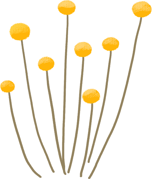 黄金球 植物 花 草