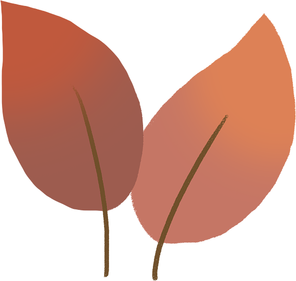 树叶 植物 红色 红叶