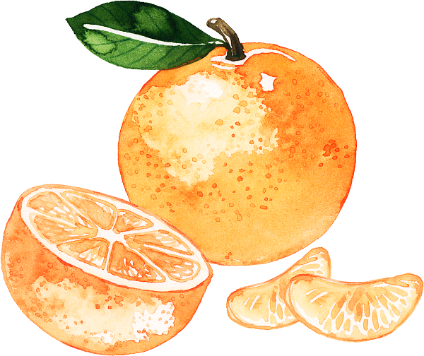 卡通 水墨风 蔬菜 橘子