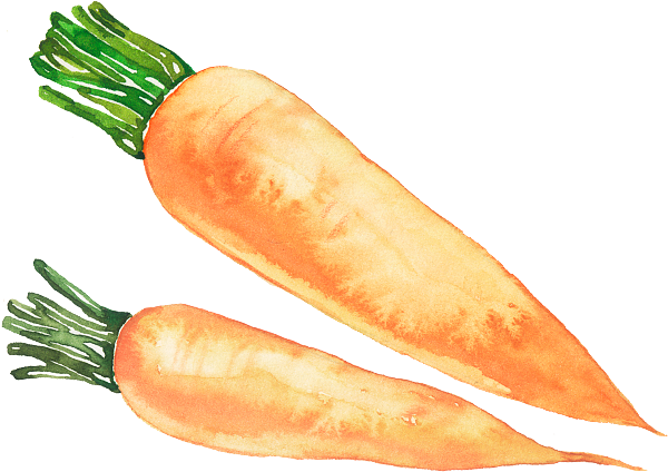 卡通 水墨风 蔬菜 胡萝卜