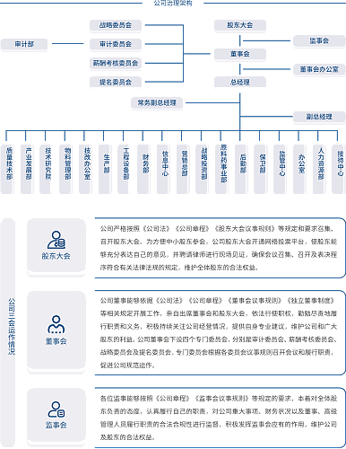 公司组织架构图