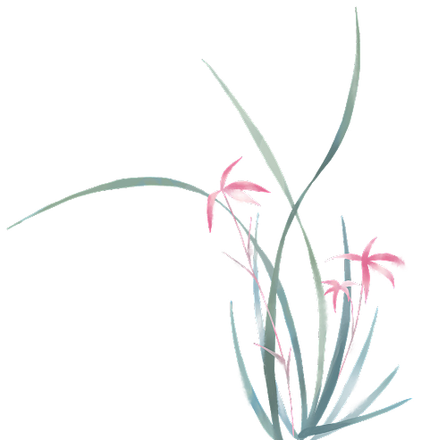 兰花