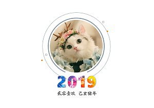 可爱宠物2019台历