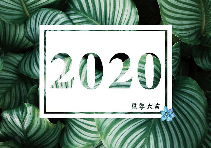 绿色叶子小清新2020年台历