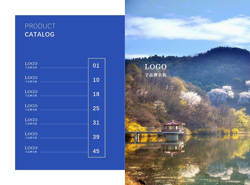 蓝色简约产品宣传画册目录