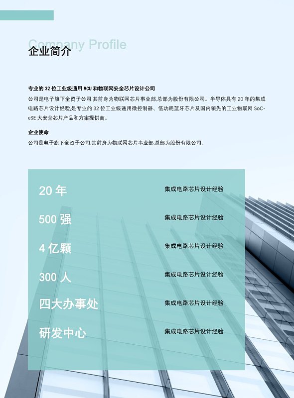 绿色简约企业简介