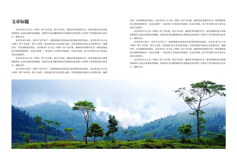 绿色中国风水果书籍文集内容正文页